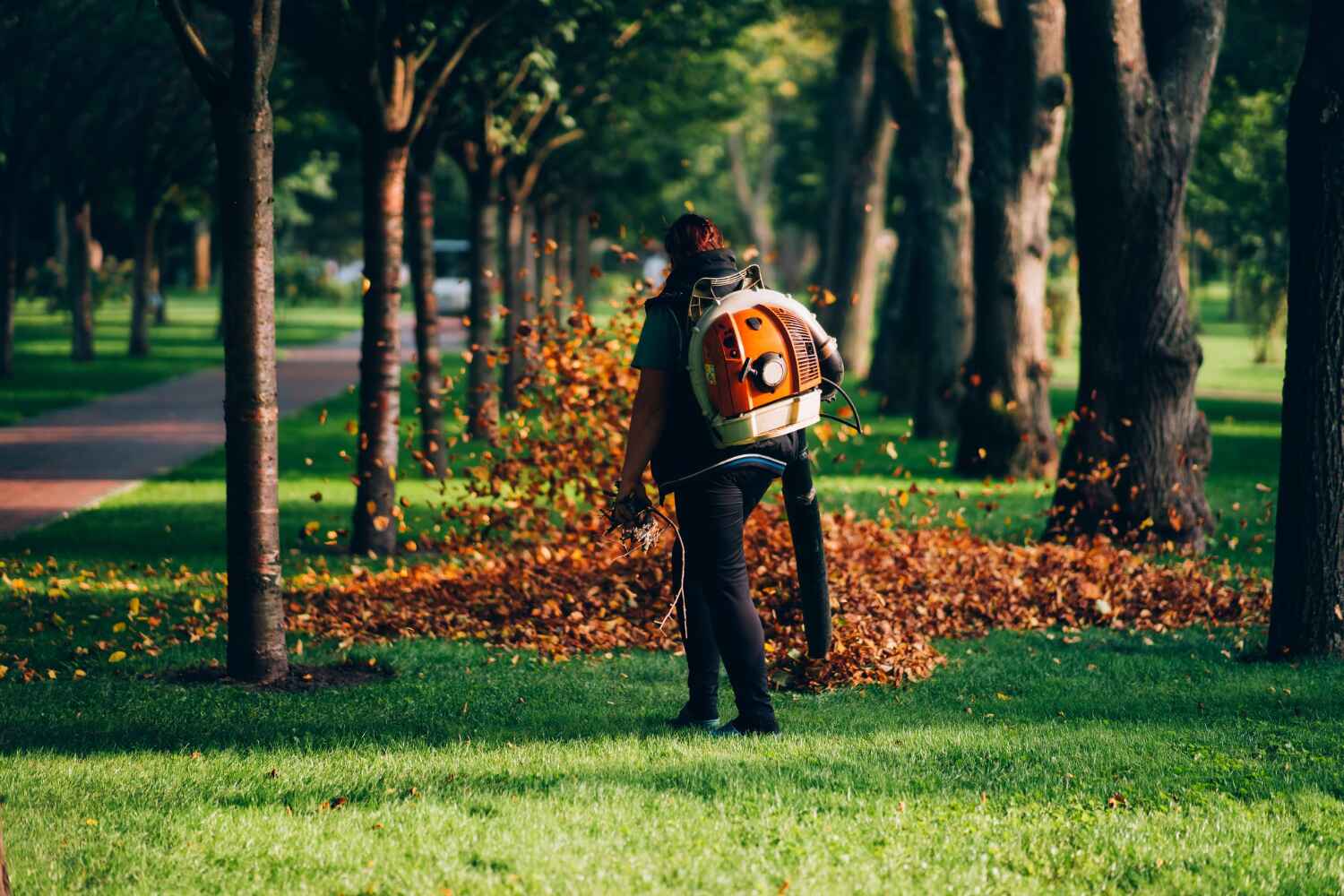 The Steps Involved in Our Tree Care Process in Pottsboro, TX